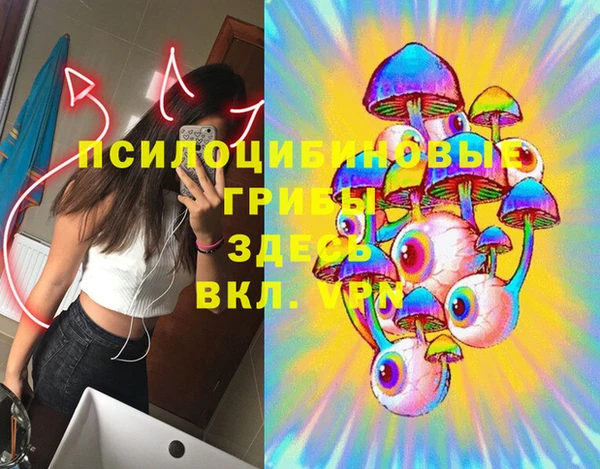сатива Нижневартовск