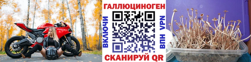 Псилоцибиновые грибы ЛСД  как найти закладки  Старый Крым 